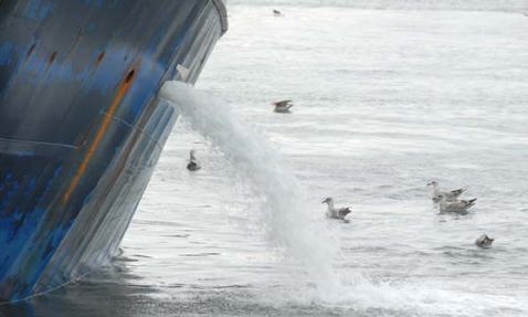 Ship discharging water into the sea, surrounded by seagulls.
