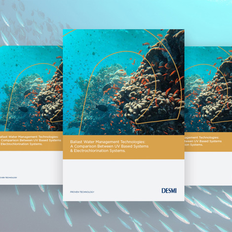 DESMI whitepaper promotional image