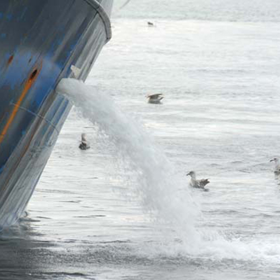 Ship discharging water into the sea surrounded by floating seagulls.
