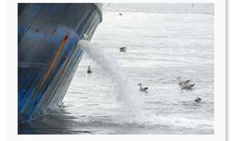 Ship discharging water into the sea, surrounded by birds.