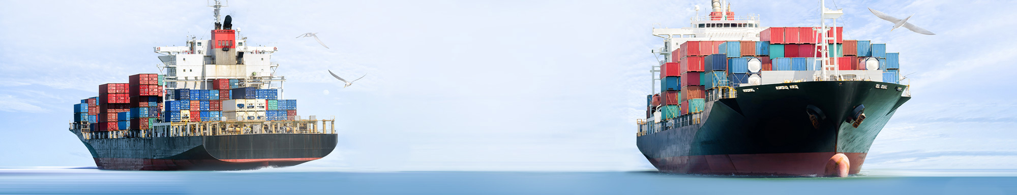 Two cargo ships carrying colorful containers, sailing on a calm sea with seagulls.
