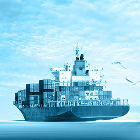 Two large cargo ships sailing with seagulls flying overhead.